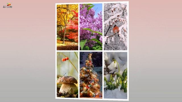Fotor.Видео "Фотоколлаж на 6 фото". смотреть онлайн