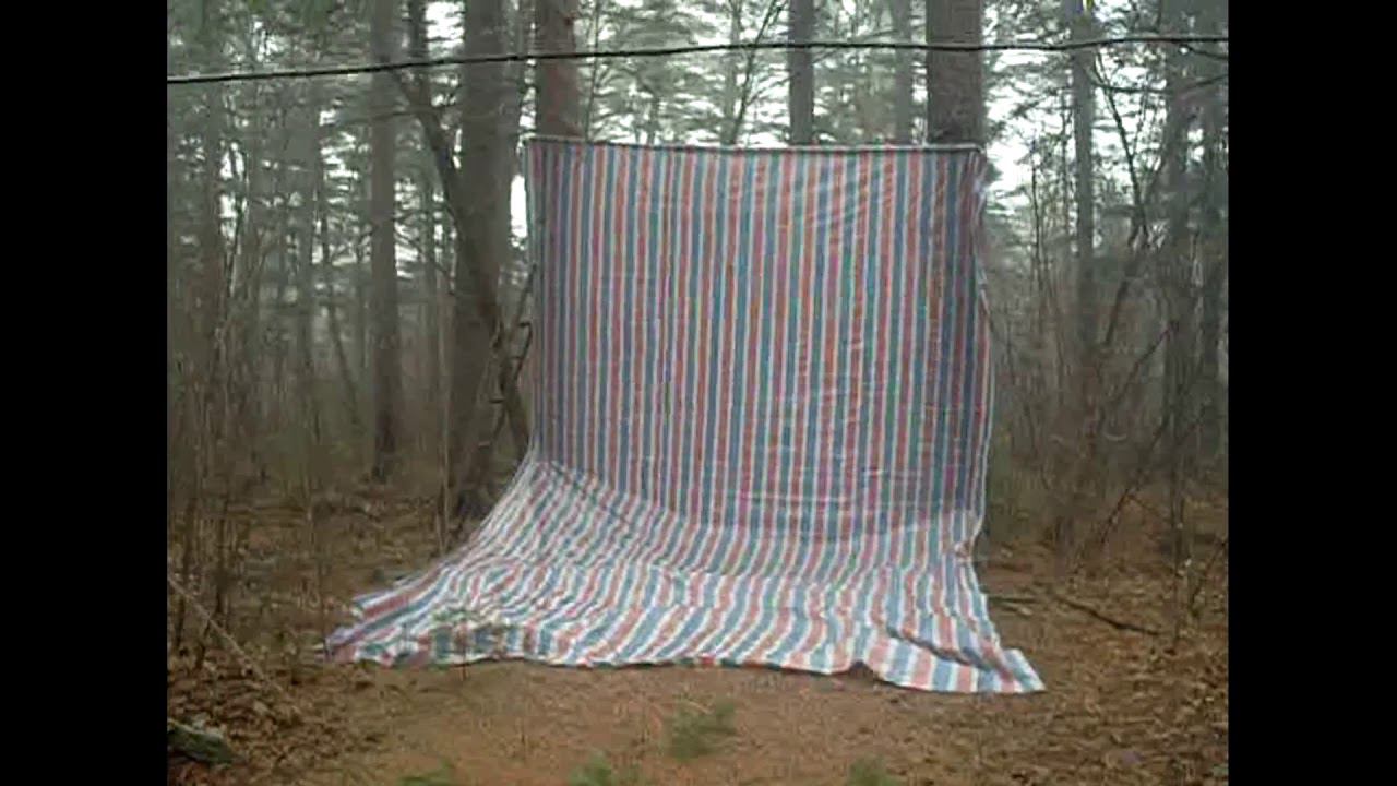 сбор кедрового ореха, переработка. как это было раньше. заработок на Дальнем востоке. смотреть онлайн