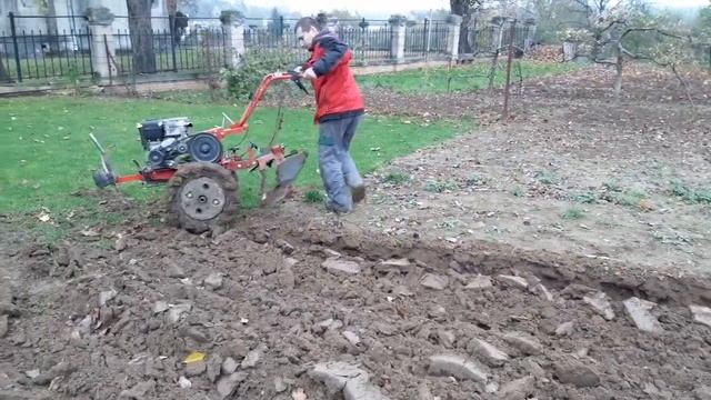 mountfield ms 07 orba смотреть онлайн