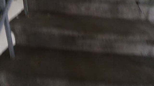 восхождение на Лаврскую колокольню. смотреть онлайн
