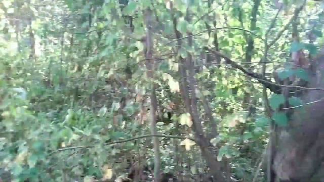 Коп металлолома с результатом пол тонны смотреть онлайн