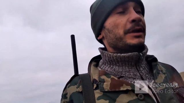 Дрессировка и воспитание щенка. Русский охотничий спаниель смотреть онлайн