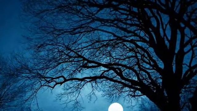 ЛУННАЯ ГАРМОНИЯ.wmv смотреть онлайн