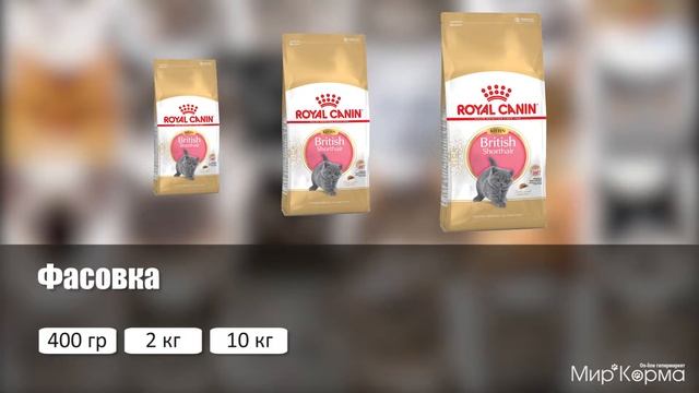 Обзор корма Royal Canin Kitten British Shorthair смотреть онлайн