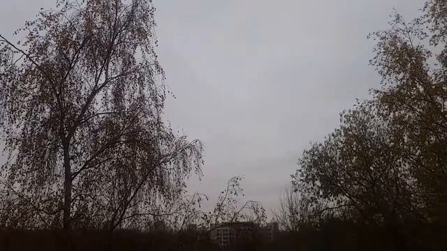 НОЯБРЬ БУДЕТ ТАКИМ - ПРОГНОЗ ВОЛШЕБНИКА ОТ 1 11 20... смотреть онлайн