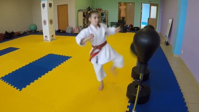 Тренировка детской команды каратэ «Тигры» (Зеленоград) смотреть онлайн