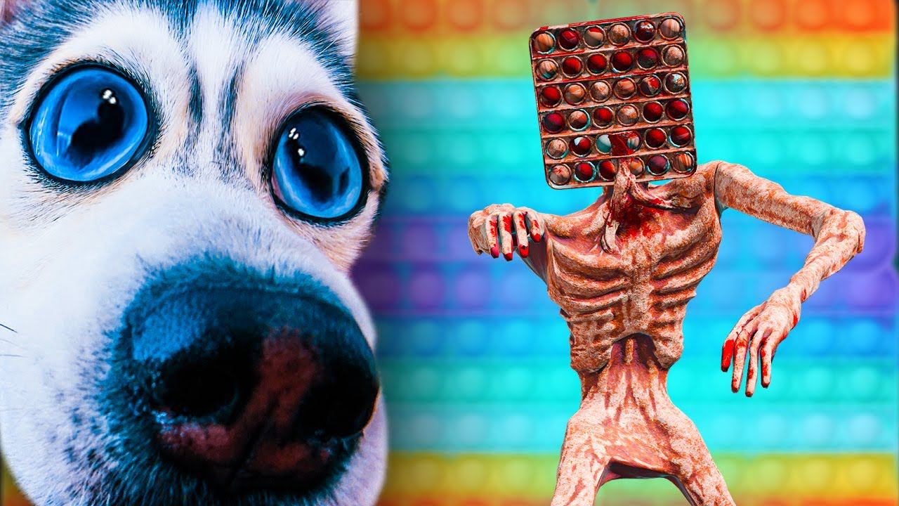 Никогда не играй в ПОП ИТ! ПопЫтоголовый придет за тобой! (Хаски Бандит) POP IT & Simple Dimple смотреть онлайн