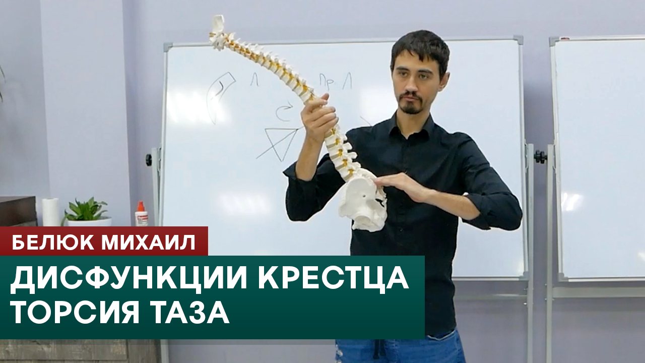 Дисфункции крестца. Торсия таза. Белюк Михаил смотреть онлайн