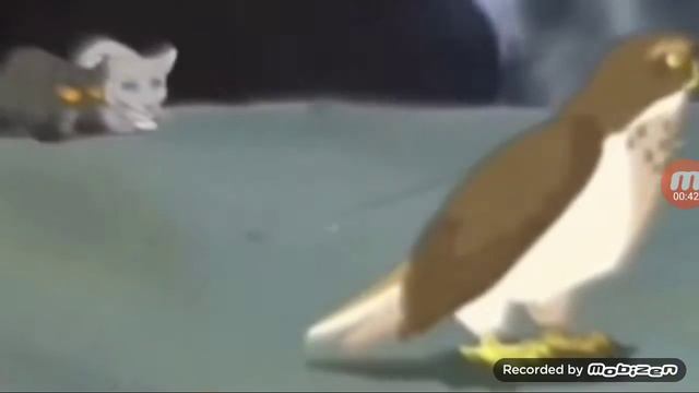 Коты воители смотреть онлайн