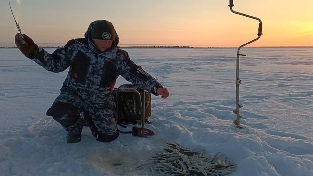 Карелия. Беломорск. Белое море. Корюшка. 07.02.24г. смотреть онлайн