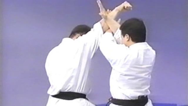 Энциклопедия Киокушинкай Каратэ-до. смотреть онлайн