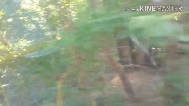 VLOG:ПЕРВЫЙ РАЗ КАТАЮСЬ НА ТЕПЛОХОДЕ! смотреть онлайн