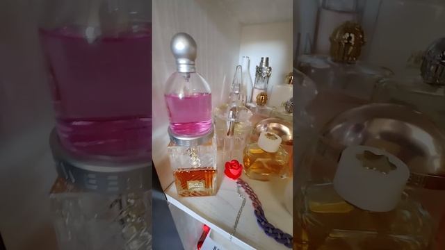 Парфюмерный шкаф на 26 августа 2023 года. Духи,туалетная вода и парфюм на осень зиму весну и лето ? смотреть онлайн