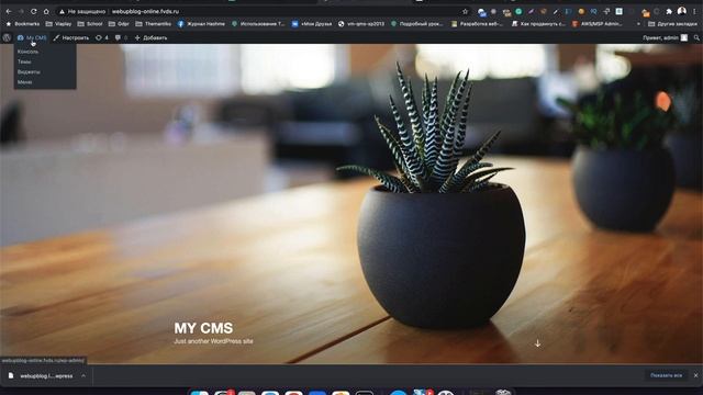 Перенос WordPress сайта на хостинг с localhost. смотреть онлайн