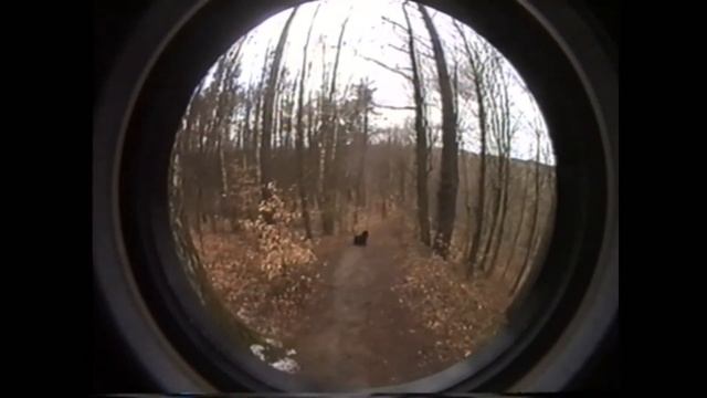 Kamera Panasonic m3000 + filtr + fish-eye (VHS RETRO 3) смотреть онлайн