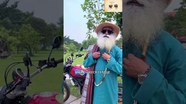 Перестаньте выдумывать, обретите свободу! смотреть онлайн