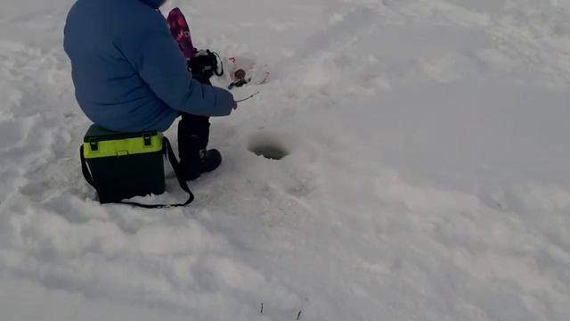 Общий водоём смотреть онлайн