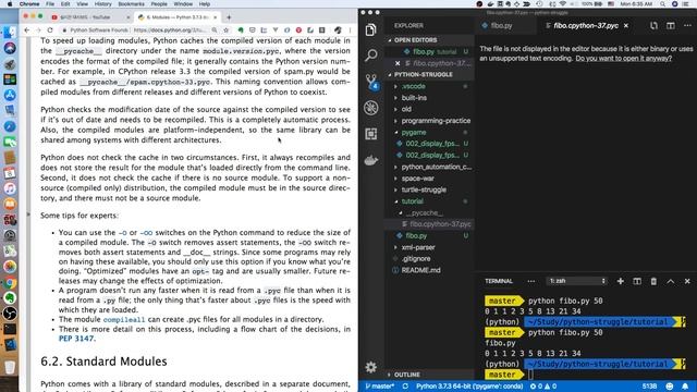[Python-Tutorial] - 6. Modules смотреть онлайн
