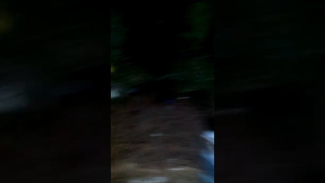 Макет как будто в лесу пожар и пожарник тушит огонь смотреть онлайн