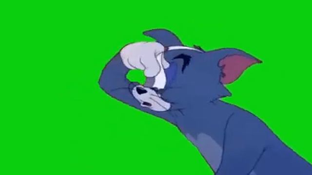 футаж хромакей кот помогает себе проснуться смотреть онлайн