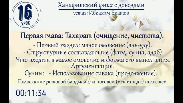 #16 Ханафитский фикх с доводами - Устаз Ибрахим Братов смотреть онлайн