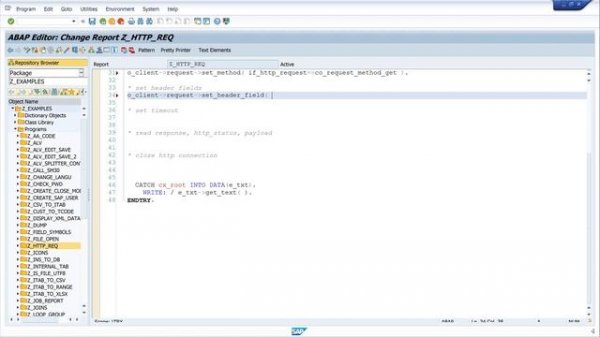 Call External API in SAP ABAP - API Key - REST API [english]