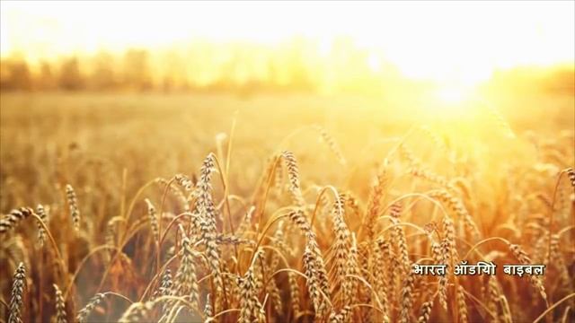 प्रेरितों के काम Acts • Hindi Bible पवित्र बाइबिल смотреть онлайн