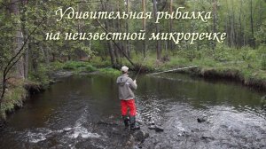 Удивительная рыбалка на микроречке с Демидовскими плотинами