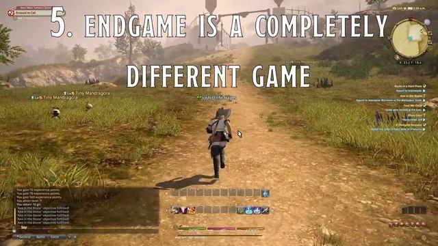 Endgame RUINS MMORPG'S (because getting to it sucks) смотреть онлайн