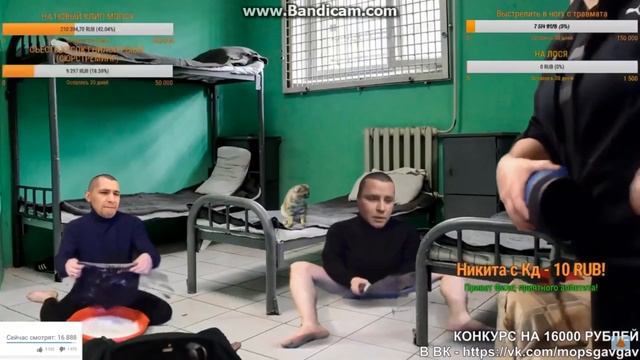 МОПС БЕДОЛАГА (жёсткие лоси мопсу) смотреть онлайн