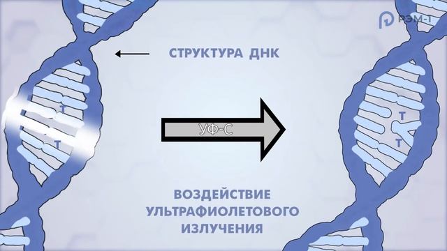 Рециркуляторы бактерицидные для очистки воздуха в помещениях смотреть онлайн