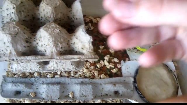 СтройТехнологии