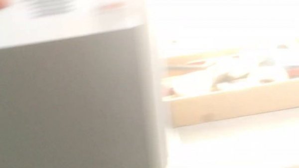 InSinkErator Evolution 250