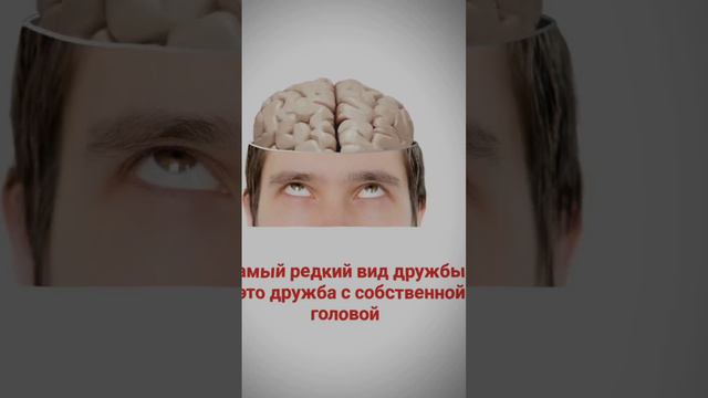 дружба со своей головой смотреть онлайн