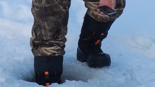 Тест Envision Snow Storm