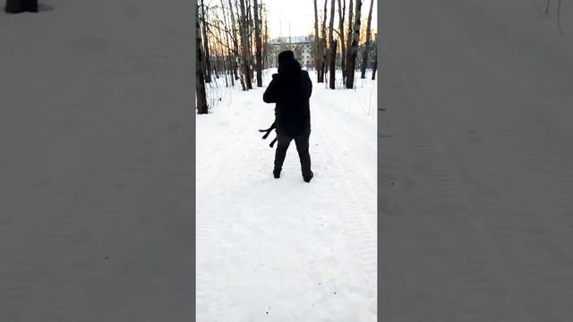 #питбуль не большая тренировка смотреть онлайн