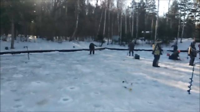 Поимки , сходы, обрывы. Рыбалка на спорт-зоне. Клёвое место Лосиный остров. смотреть онлайн