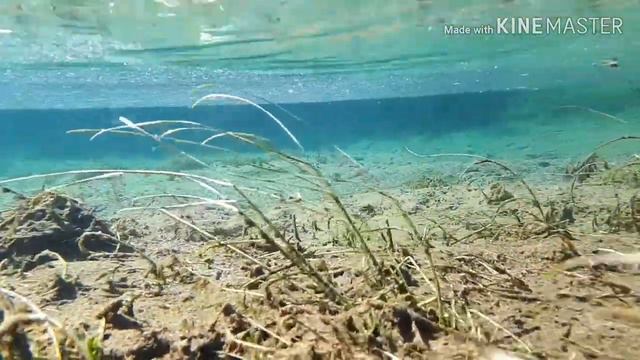 Подводная пустыня смотреть онлайн