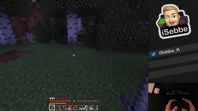 This is Minecraft Bedrock Survival mode Gameplay on Apple iPad Pro | iSebbe смотреть онлайн