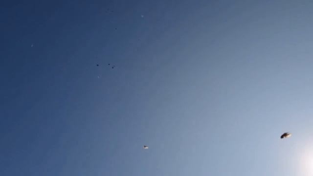 // ГОЛУБИ // Александр Вашурин "" 23.09.2020.г. смотреть онлайн