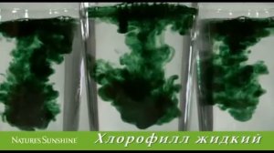 Хлорофилл Жидкий