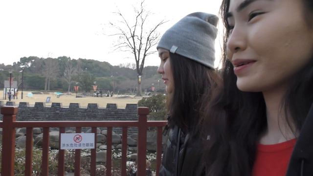 ШАНХАЙ ВЛОГ上海│китайский новый год, ю гарден, набережная, жизнь (Shanghai VLOG) смотреть онлайн