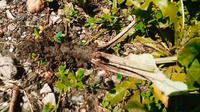 Рецепты с Душой