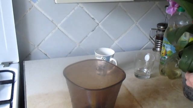 Выращивать Орхидею так, чтобы она не болела. смотреть онлайн