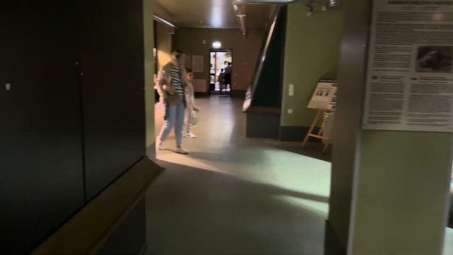 Зоопарк - аквариумы в Таллине 2023 год смотреть онлайн