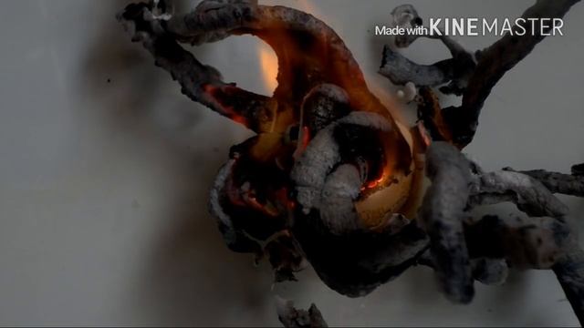 Фараонова змея. Химические опыты. Кальция глюконат. смотреть онлайн