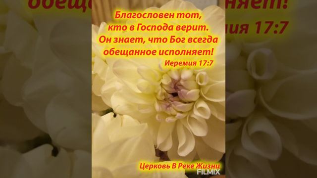 Свидетельство. Бог даёт исполнение желаний. Татьяна. 29.07.2020 смотреть онлайн