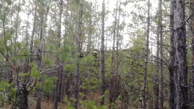 Тайна будет разгадана. Древние сооружения Олекминской тайги. смотреть онлайн