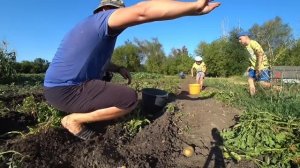 Деревенские будни