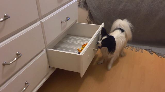 Трюк "открой ящик!", "закрой ящик" смотреть онлайн